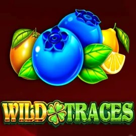 Play the Wild Traces slot by Amusnet Interactive on VipLuck Casino